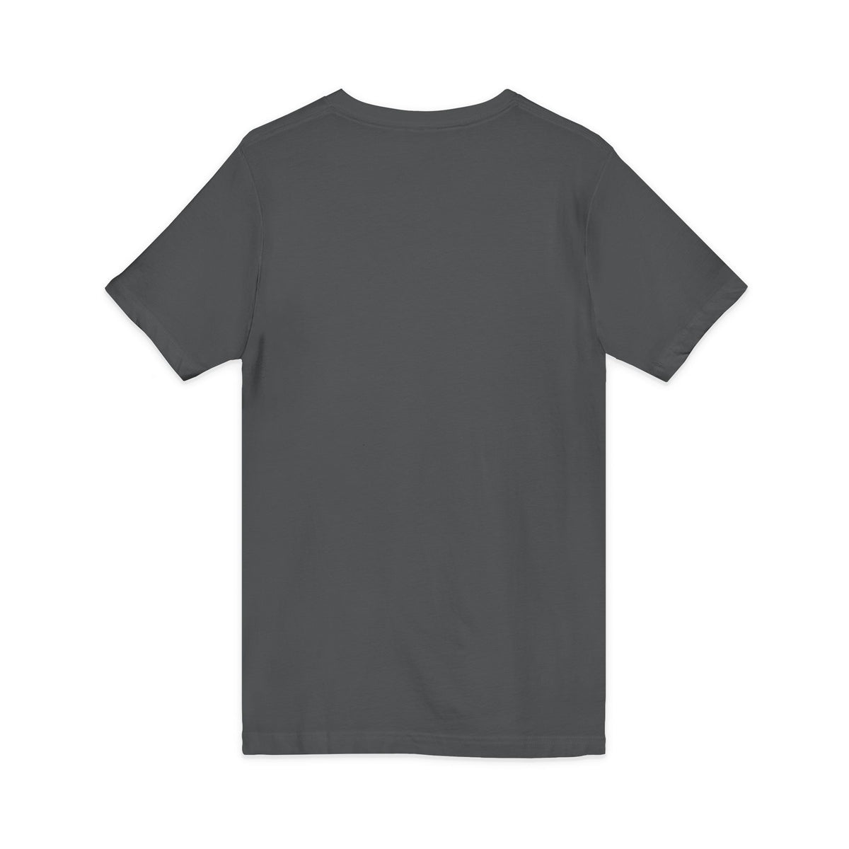 Mystic Falls Unisex Jersey Short Sleeve V-Neck Tee