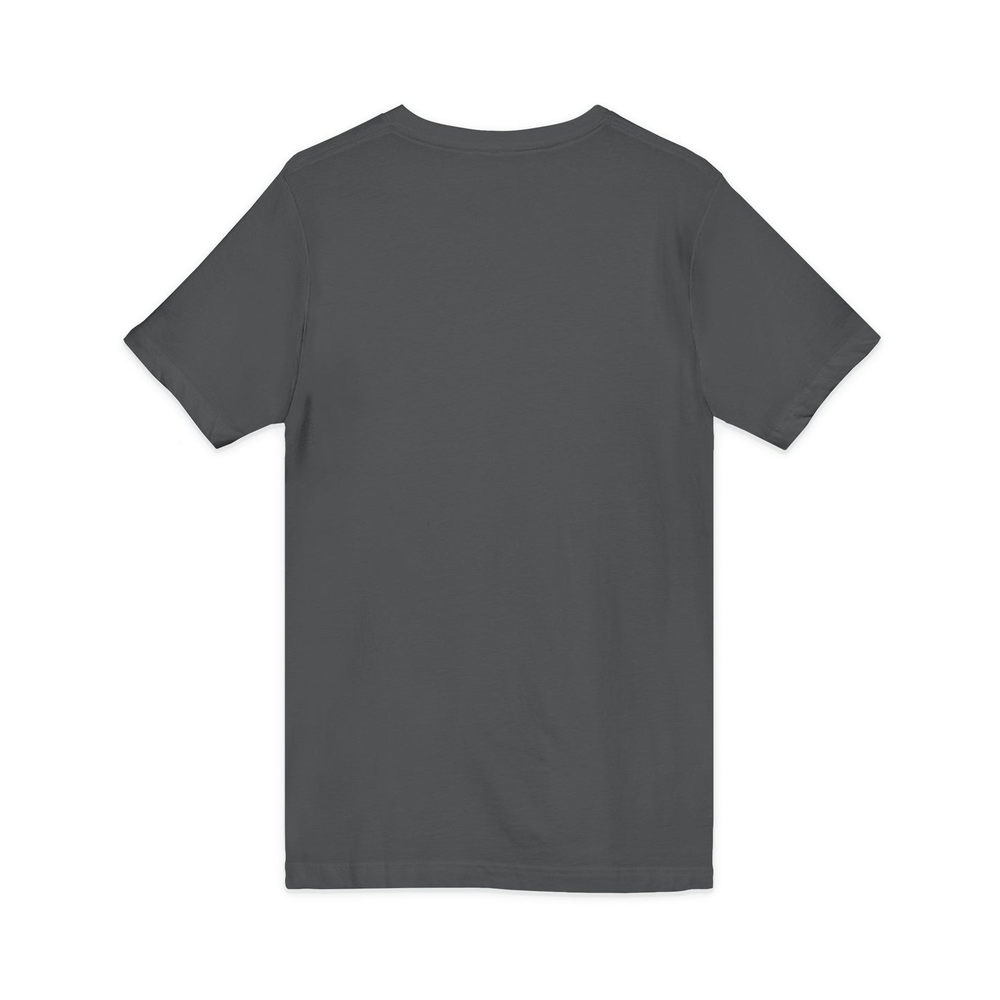 Mystic Falls Unisex Jersey Short Sleeve V-Neck Tee