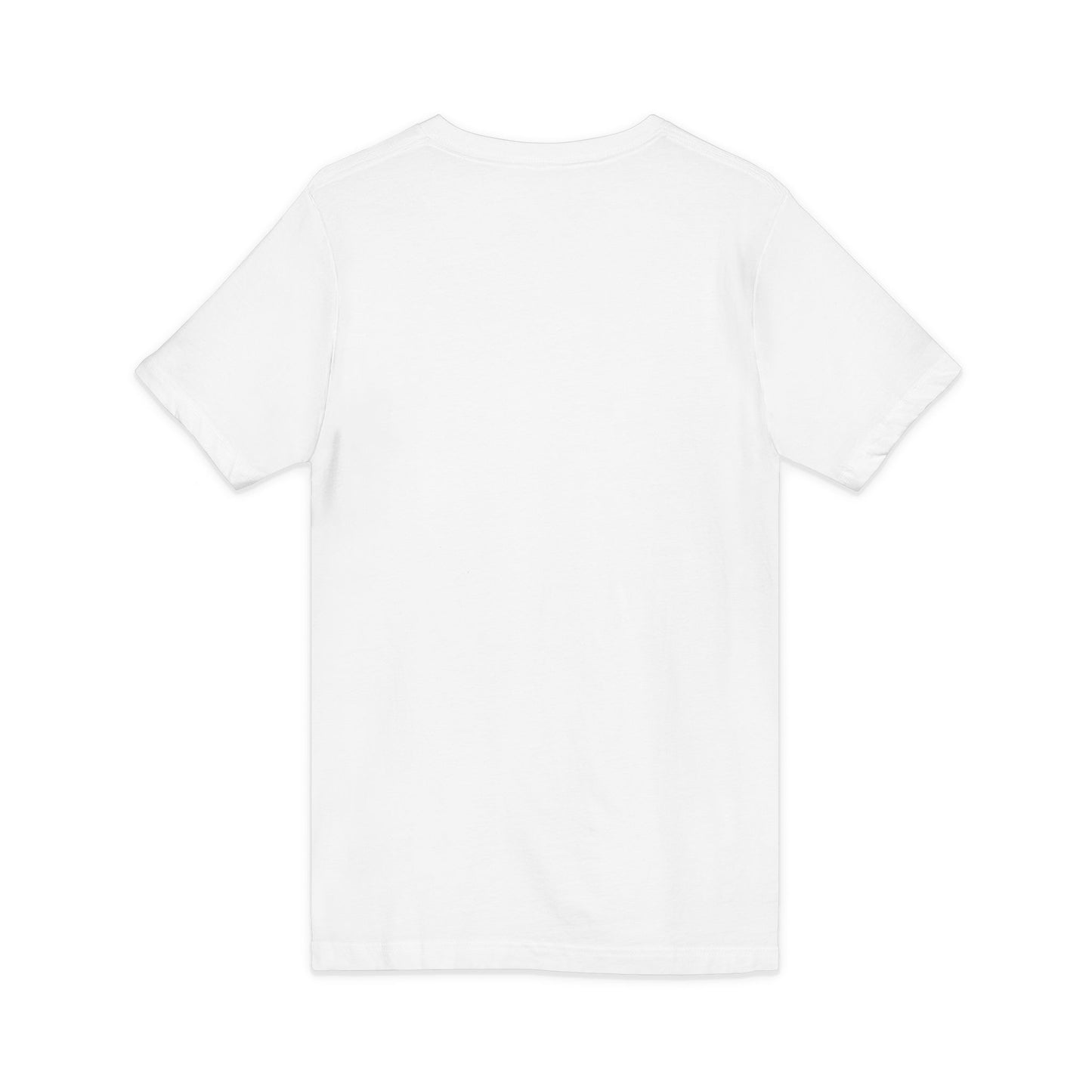 Mystic Falls Unisex Jersey Short Sleeve V-Neck Tee