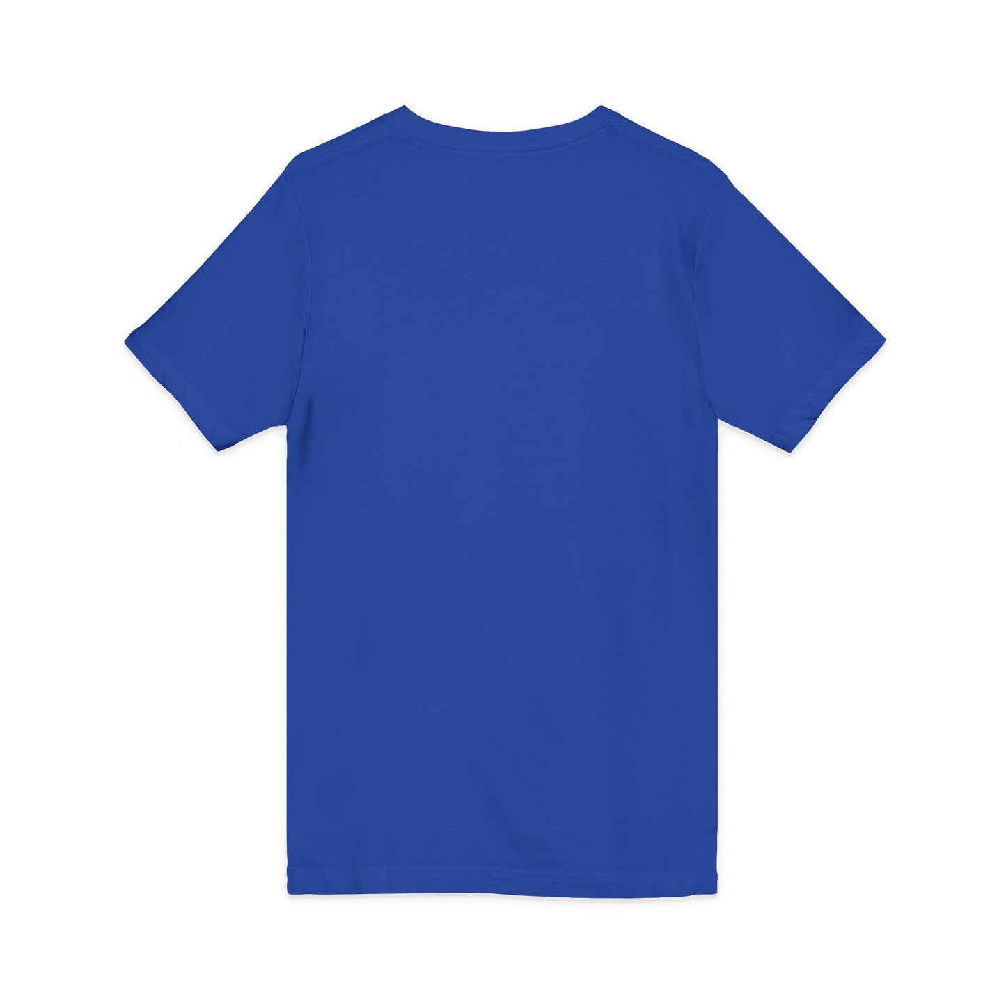 Mystic Falls Unisex Jersey Short Sleeve V-Neck Tee