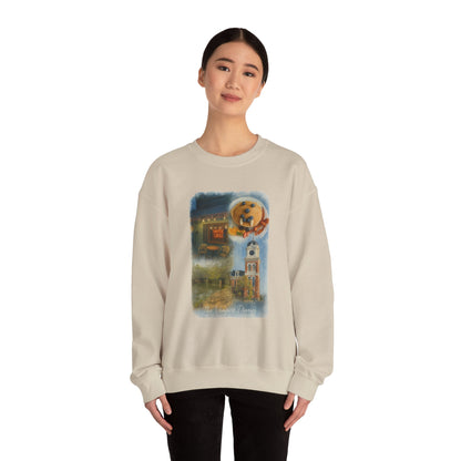 Mystic Falls Crewneck Sweatshirt