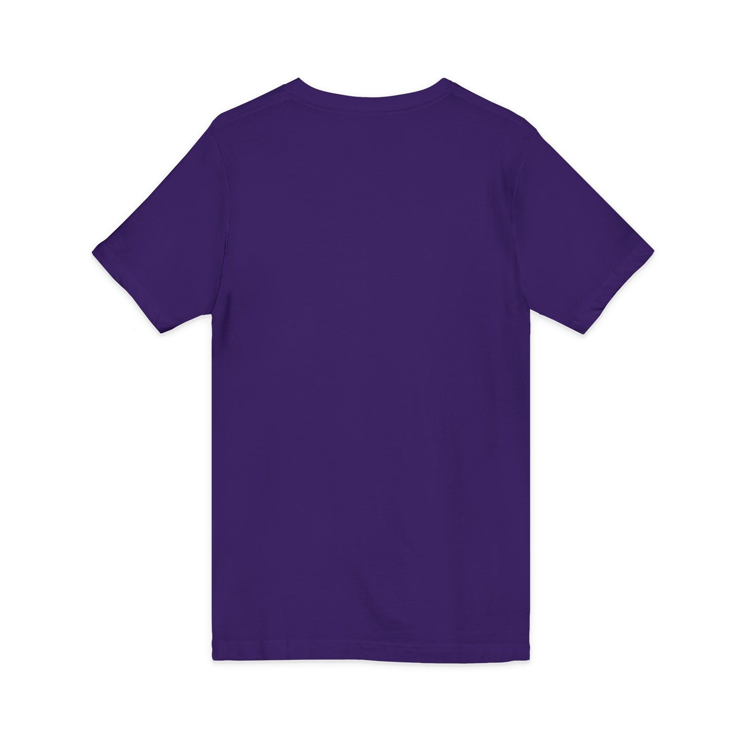 Mystic Falls Unisex Jersey Short Sleeve V-Neck Tee