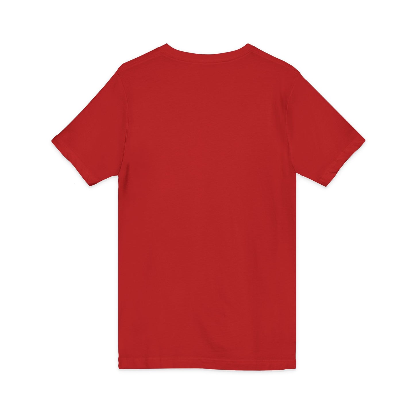 Mystic Falls Unisex Jersey Short Sleeve V-Neck Tee