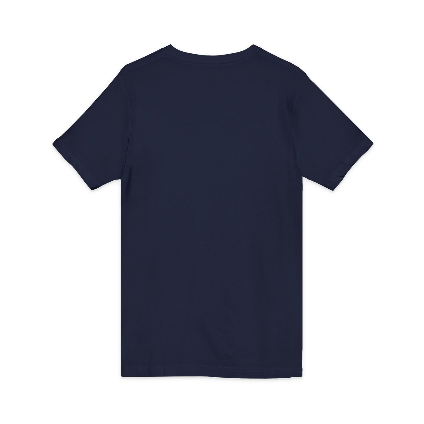 Mystic Falls Unisex Jersey Short Sleeve V-Neck Tee
